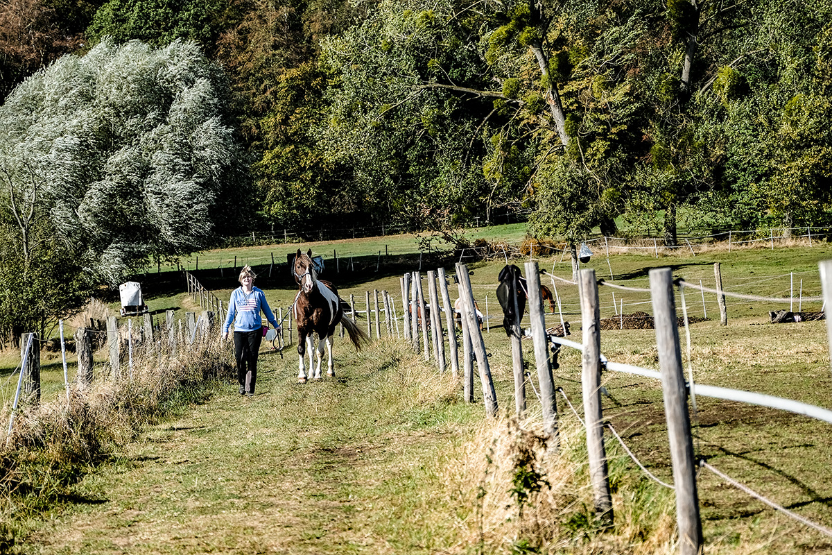 Paddock Trail auf über 6000 m²
